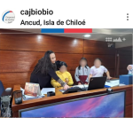 caj bibio foto niños en meson