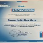 fae illapel directora recibe reconocimiento Embajadores de acogimiento SPE NOV 2026