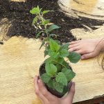 escuela de verano realizada por PIE 24 Horas Lampa en capilla Sagrada Familia feb 2026 2