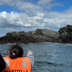 fae ancud en paseo maritimo turistico por la zona 19 feb 2026 a