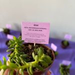 prm cenim cabildo celebra dia de la mujer con actividad reflexiva Rompe el Hielo 8 mar 2026 5