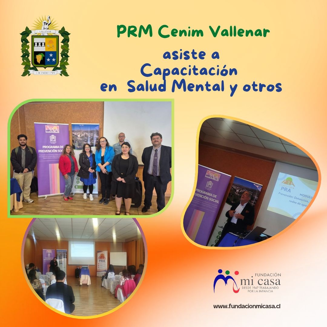 PRM Cenim Vallenar asiste a capacitación en tema de Salud Mental